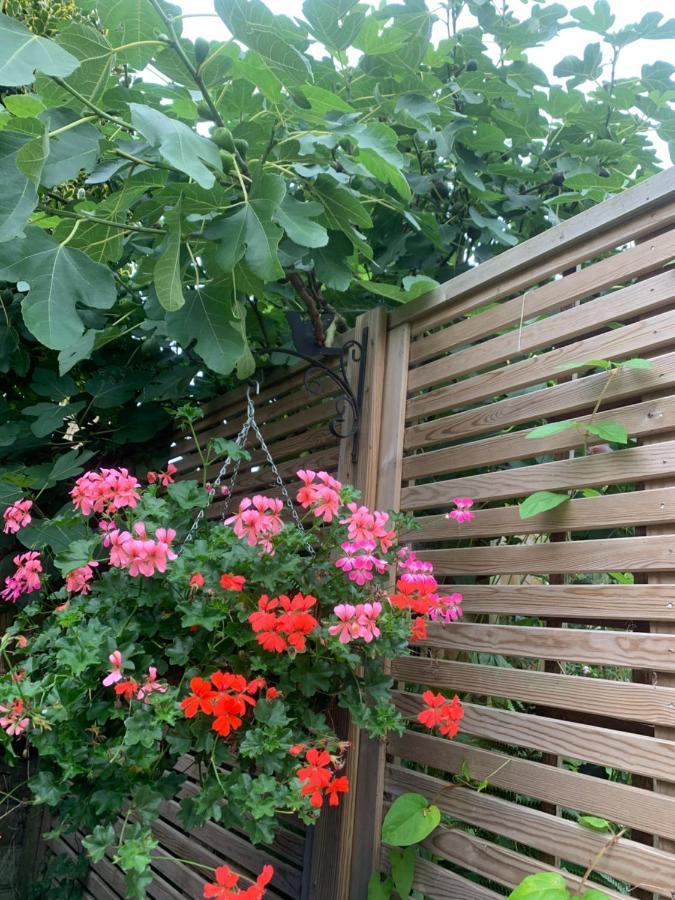 Sunshine Cottage Studley  Buitenkant foto